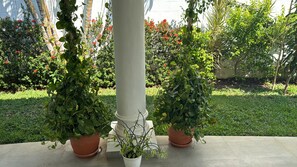A garden area with potted plants and a white column.