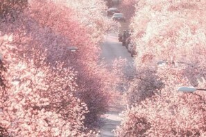 Miscellaneous - Vancouver Airport Inn (Richmond)