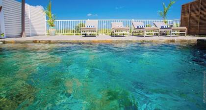 Villa Tropic Hirondelle - Piscine Vue Mer