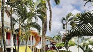 A resort with palm trees, a pathway, and buildings with balconies. - T2 La Perle - Village Creole (Les Trois-Îlets)