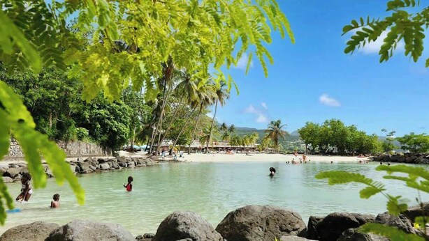 A tropical beach with clear water, palm trees, and rocky formations. - T2 La Perle - Village Creole (Les Trois-Îlets)
