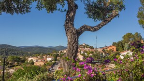 Un árbol con una estructura de ramas singular, un balcón con flores moradas y una vista de un pueblo con casas y montañas al fondo.