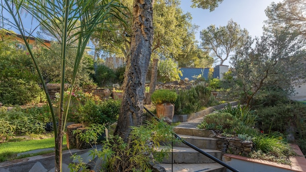 Un jardín con una escalera de piedra, plantas diversas y un árbol.