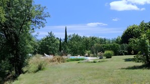 Uma área externa com gramado, piscina, árvores e uma árvore alta e esguia ao fundo.