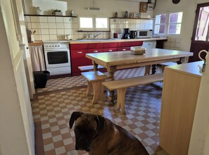 A kitchen with a checkered floor, a wooden table, and a dog.