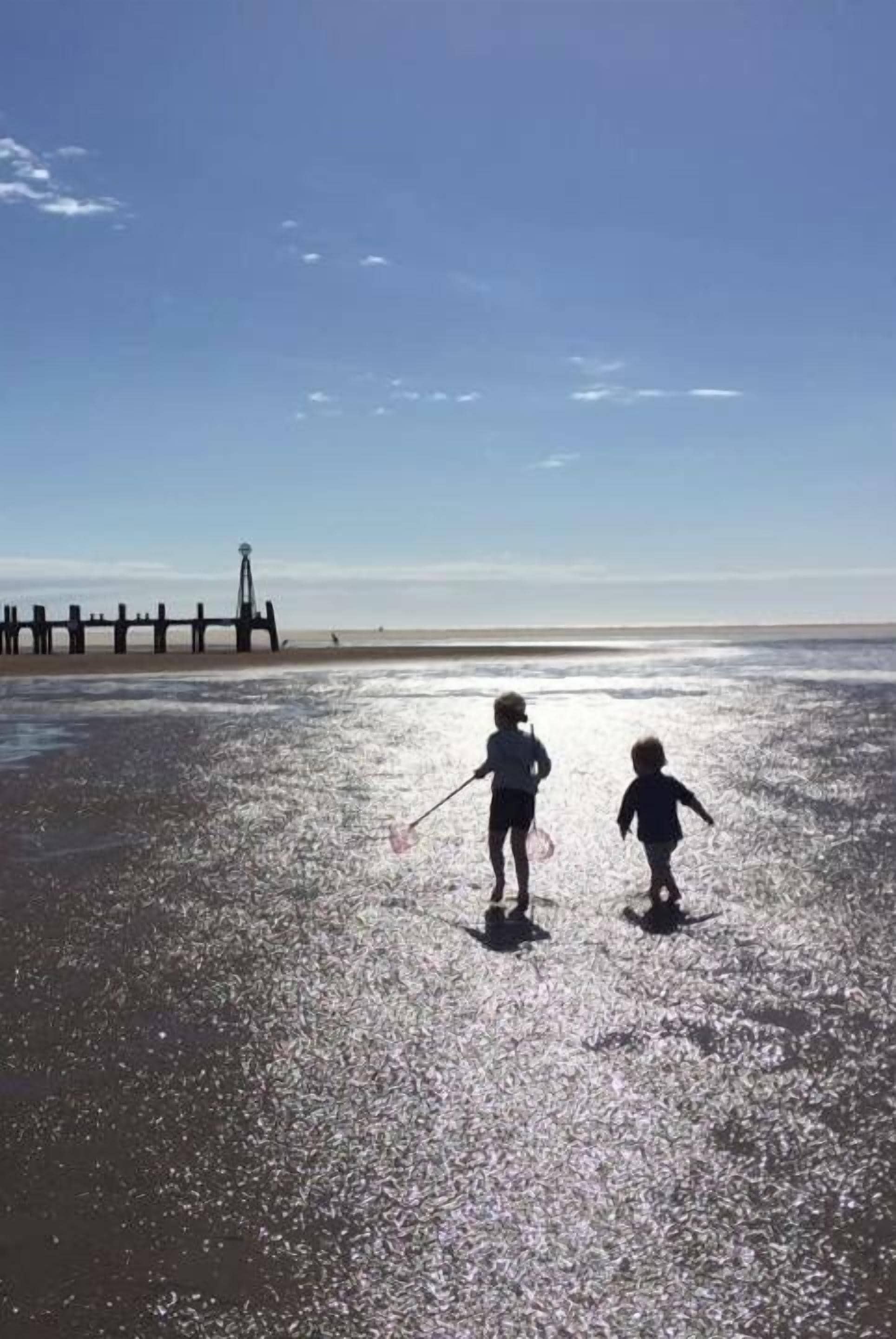 ใกล้ชายหาด