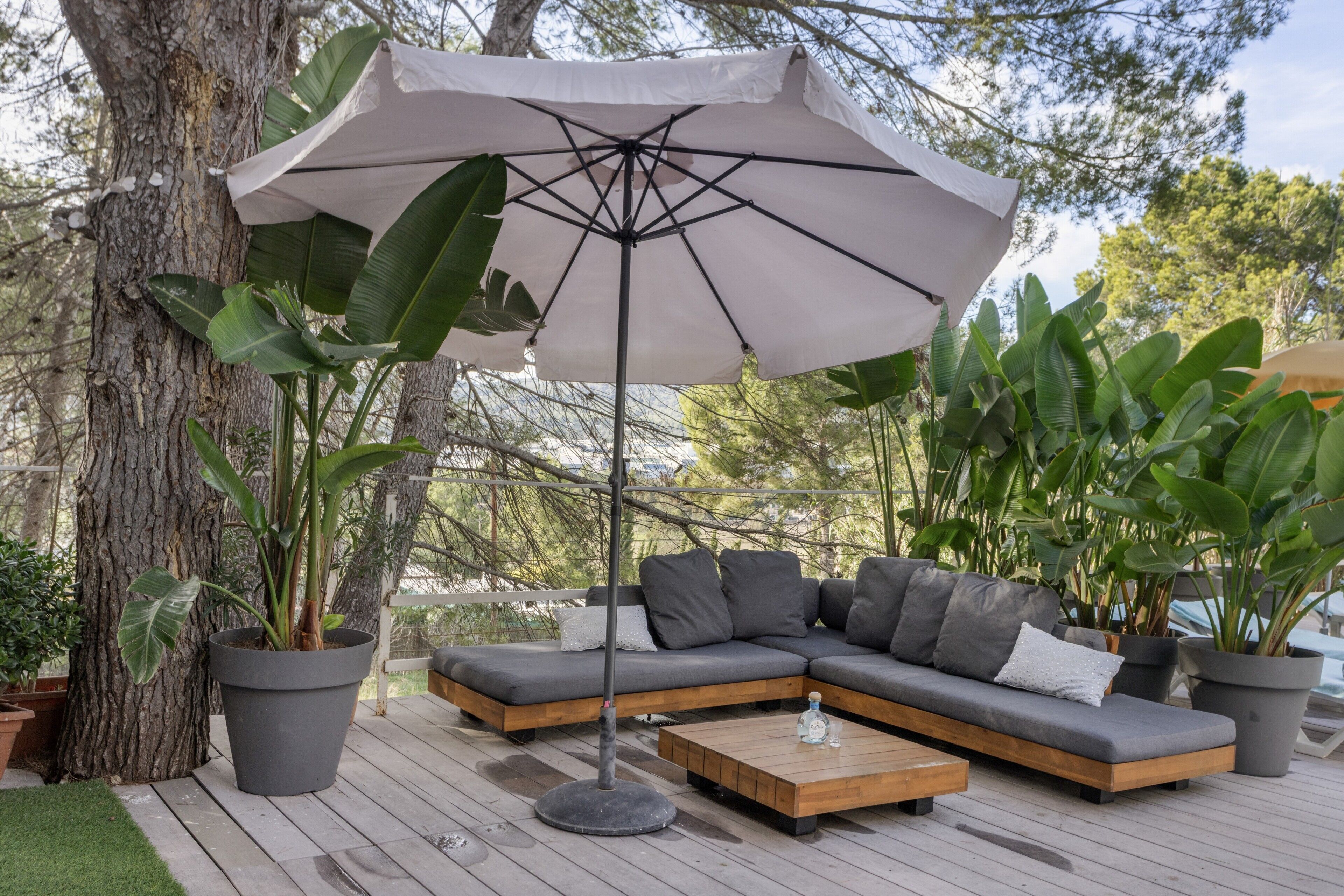 Terras