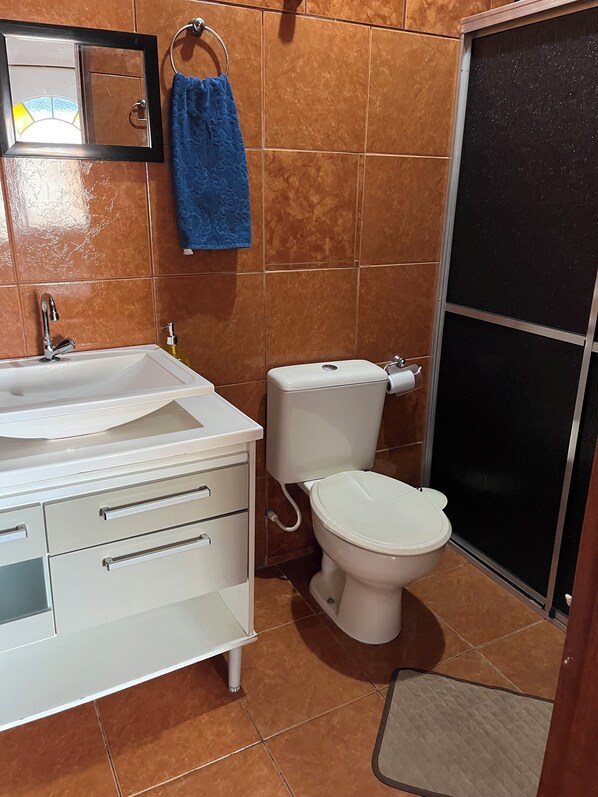 Ducha, toallas, jabón y papel higiénico