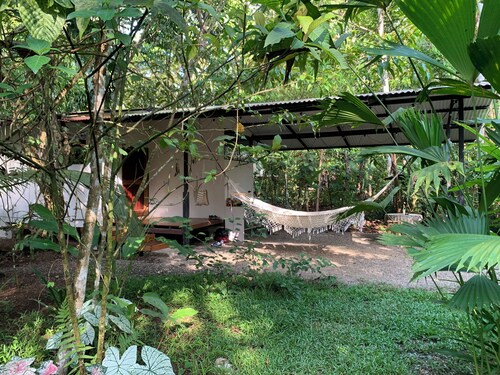 Rooted in LOVE Wellness: AC studio at the foothills of Corcovado National Park