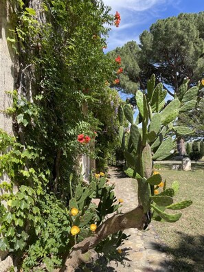 Property grounds - Côté Jardin - MARAUSSAN (MARAUSSAN)