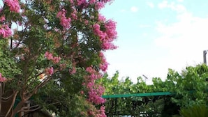 Ein Garten mit einer Pergola, einem Pavillon und einem Kiesweg.