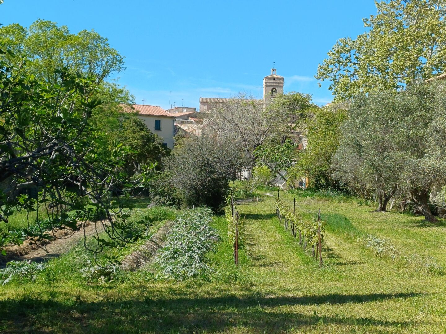 Enceinte de l’hébergement
