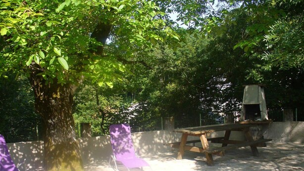 Un patio con una mesa de picnic, dos sillones morados y un gran árbol que da sombra.