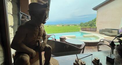 Villa in the rock, 5000 m2 of garden, 4 bedrooms, immersed in the vineyards