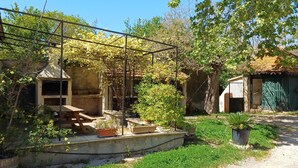 A rustic outdoor area with a wooden bench, a metal pergola, and various potted plants.
