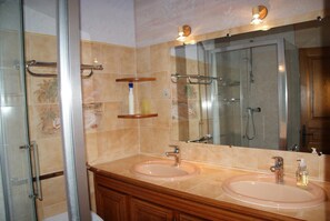 Shower, hair dryer