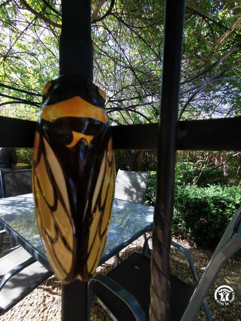 Una mesa de cristal con estructura metálica, rodeada de follaje y una construcción de madera.