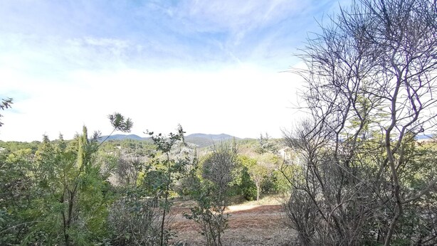 Un paisaje natural con cielo despejado, un sendero de tierra y diversa vegetación.