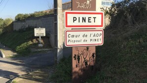 Ein Wegweiser mit der Aufschrift 'PINET' und 'Cœur de l'AOP Picpoul de PINET'.