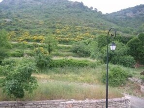 Property grounds - La Bergerie - DIO-ET-VALQUIERES (DIO-ET-VALQUIERES)