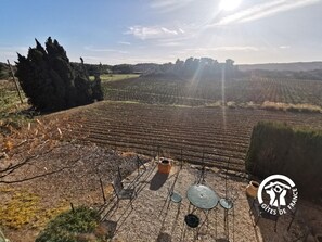 Property grounds - La Vigneraie - CAUNETTE(LA) (CAUNETTE(LA))