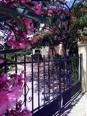 Exterior detail - La Vigneraie - CAUNETTE(LA) (CAUNETTE(LA))