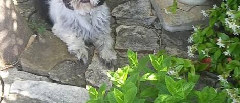 المنطقة المحيطة بالمنشأة