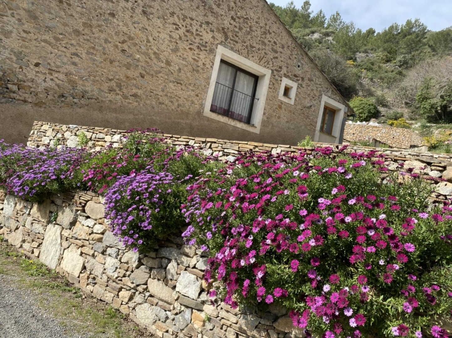 Àrea exterior de l'allotjament