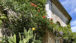 A building with a stone facade, a cactus plant with yellow flowers, and a stone pathway leading to the entrance. - Côté Cour - MARAUSSAN - Gîte (MARAUSSAN)