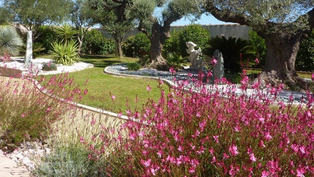 A landscaped garden with various plants and a central water feature.