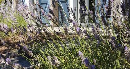 Le Clos des Lavandes