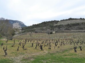 Miscellaneous - Marie Jeanne - MONTGAILLARD (MONTGAILLARD)