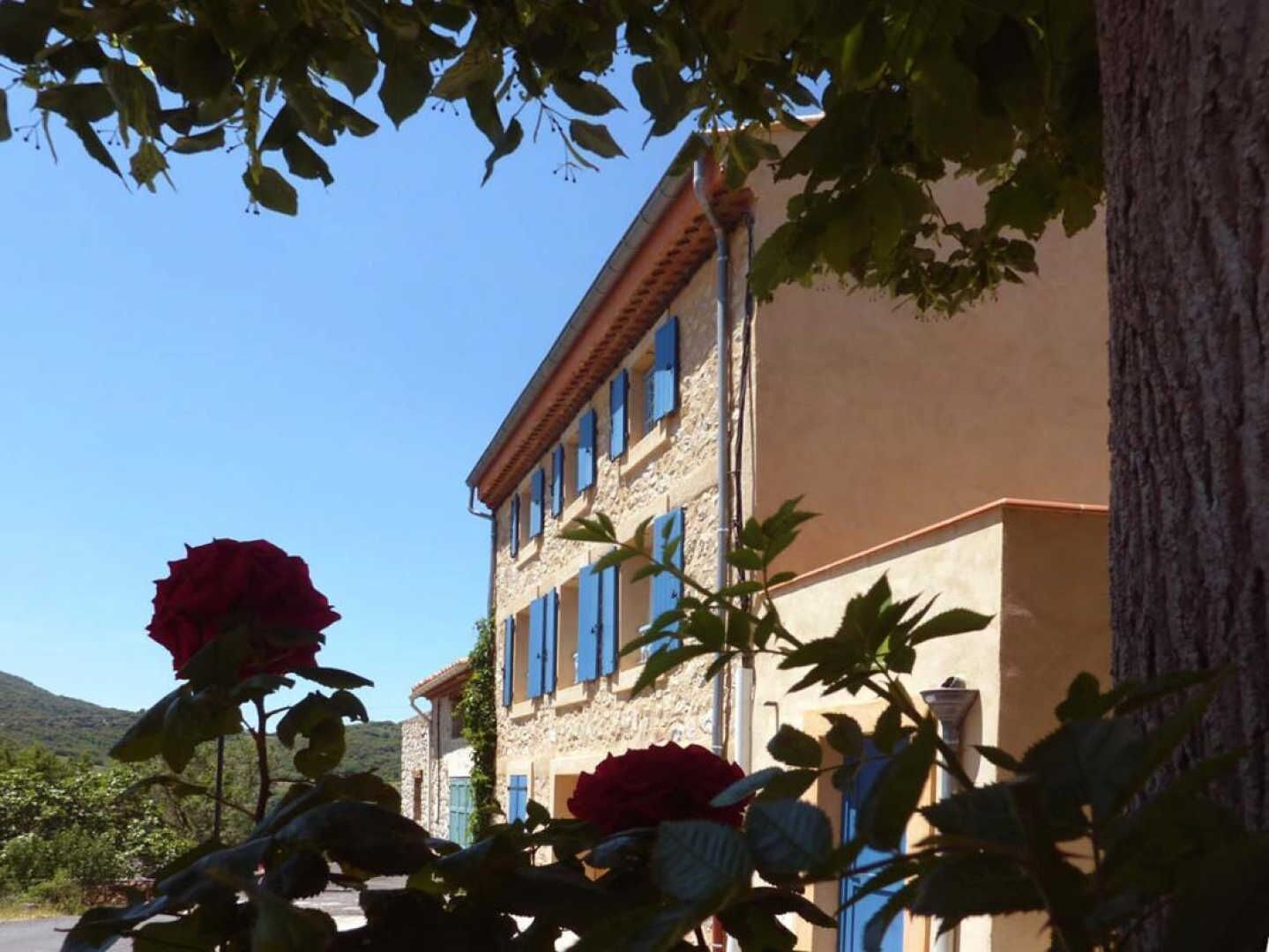 A building with blue shutters and a stone facade, surrounded by greenery and a clear sky.