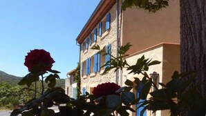 Ein Gebäude mit blauen Fensterläden und einer Stein-Fassade, umgeben von Grünpflanzen und blauem Himmel.