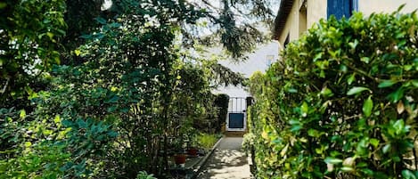 A narrow pathway flanked by lush greenery leading to a building with a blue shutter.