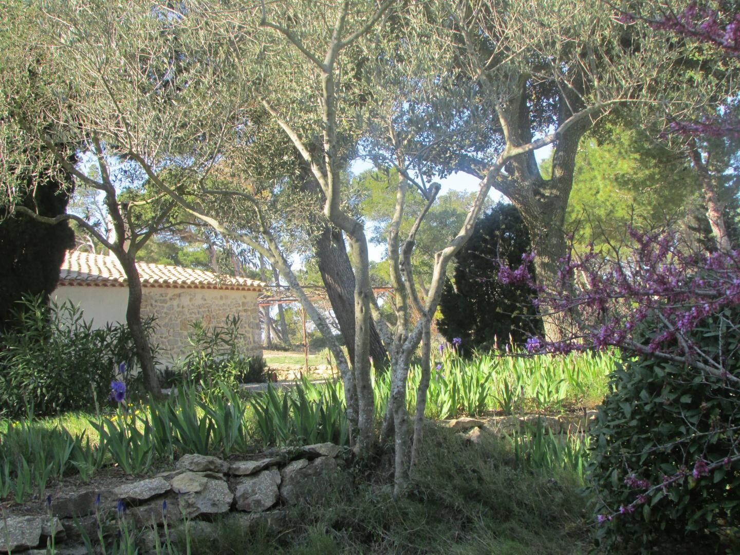 Áreas de la propiedad