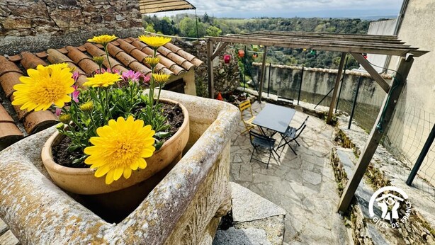 Una terraza en la azotea con macetas de flores amarillas, una mesa con sillas y vistas al campo.