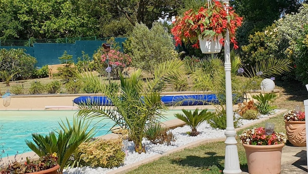 A pool area with a clear view of the water, surrounded by various plants and a lamp post. - Les Jasmins - PENNAUTIER (PENNAUTIER)