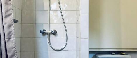 A bathroom with a shower, toilet, and tiled walls.