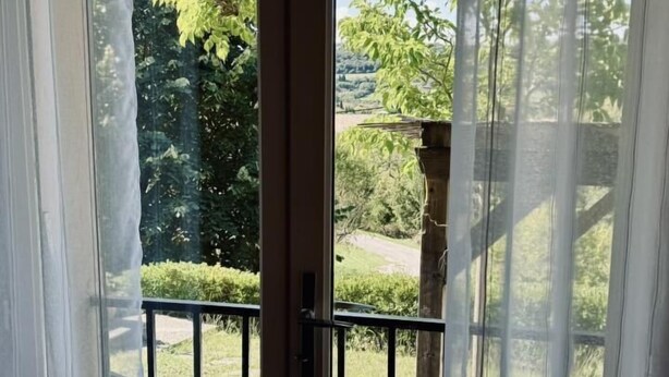 A door with a view of a garden and a tree.