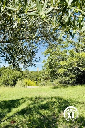 Property grounds - La Bouriette - MONTOLIEU (MONTOLIEU)