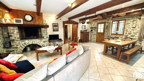 TV, fireplace - La Bergerie - EMBRES AND CASTELMAURE (EMBRES ET CASTELMAURE)
