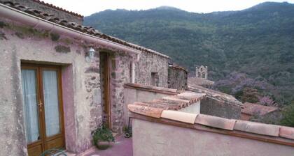 Le Noisetier - GREFFEIL