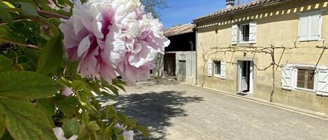 DĂ©tail de lâextĂ©rieur