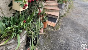Une maison de campagne avec une véranda en bois, des plantes en pot et une allée gravillonnée.