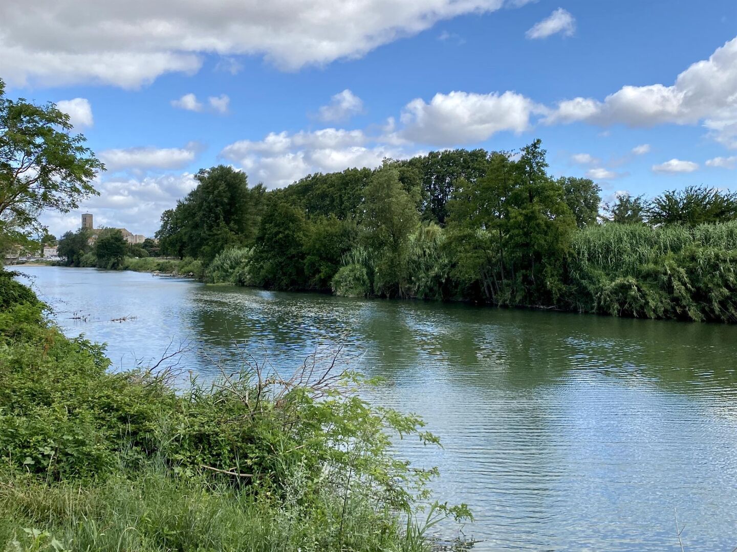 A river with dense greenery and trees on both sides.