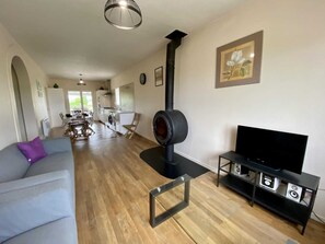 Televisión y chimenea 