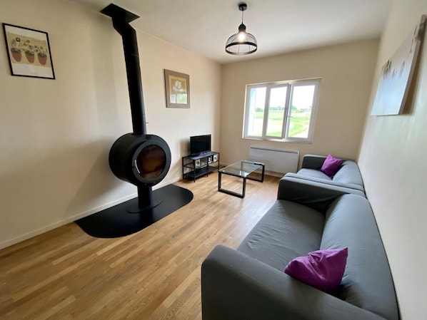 A living room with a wood-burning stove, a sofa, a coffee table, and a television. - Miraillou 6 people (RICAUD)