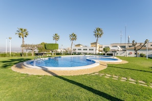 Une piscine de forme circulaire, entourée d’une pelouse bien entretenue et de palmiers.