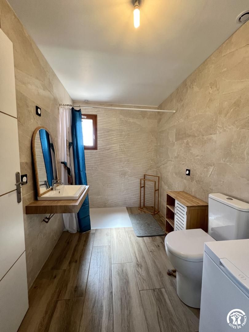 A compact bathroom with a wooden vanity, a toilet, and a shower area.
